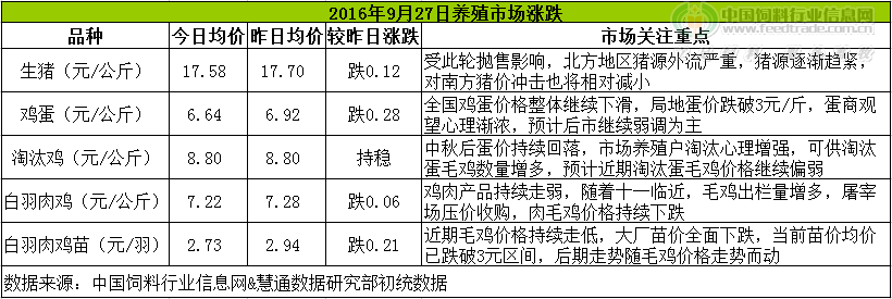 雞評(píng).png