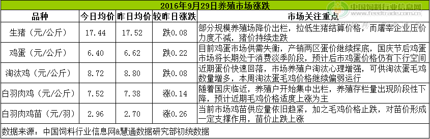 雞評(píng).png