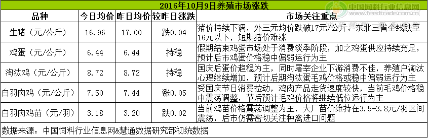 雞評(píng).png