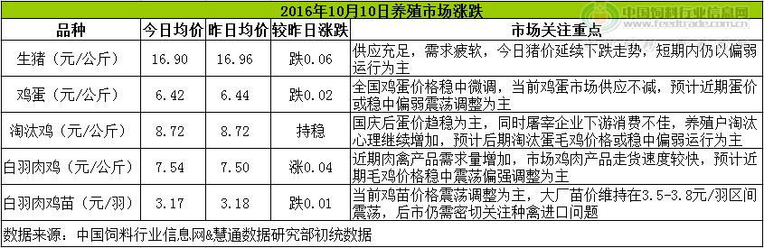 雞評.png