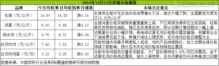 雞評(píng).png