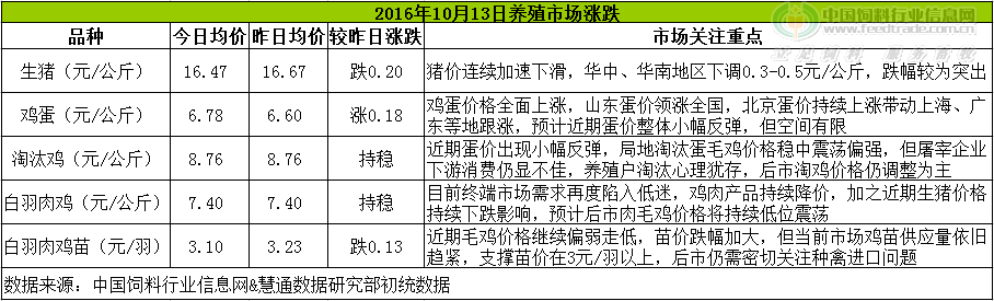 雞評.png