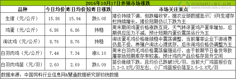 雞評(píng).png