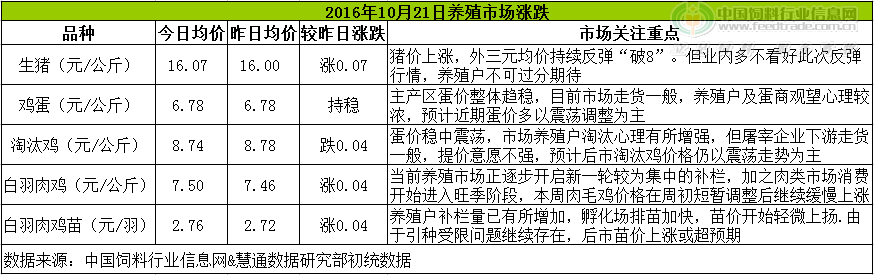 雞評(píng).png