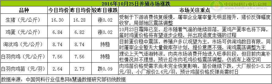 雞評(píng).png