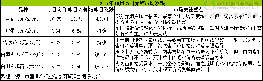 雞評(píng).png