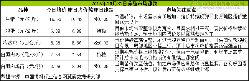 雞評(píng).png