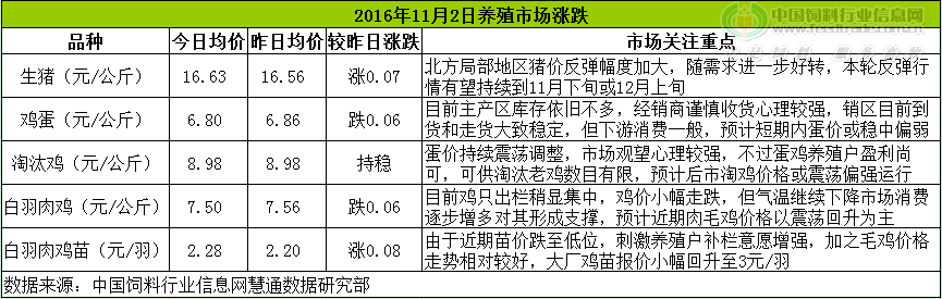 雞評.png