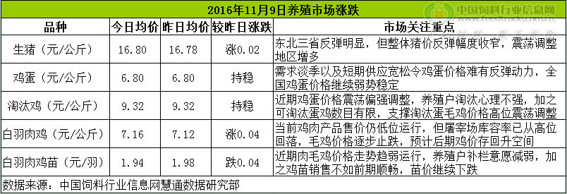 雞評(píng).png