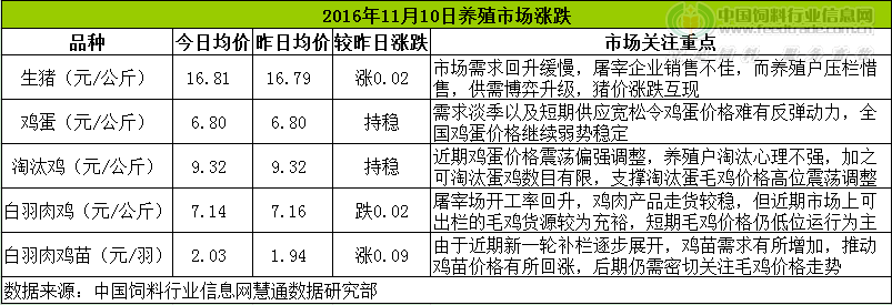 雞評.png