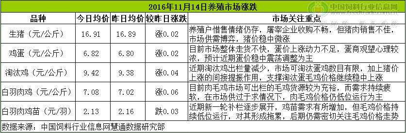 雞評.png