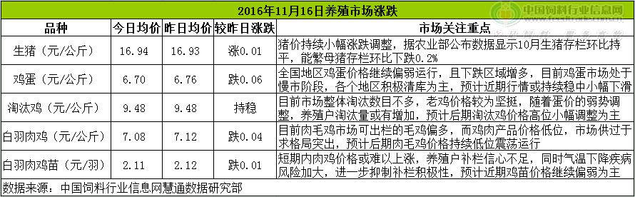 雞評.png