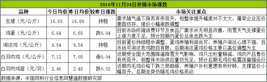 雞評(píng).png