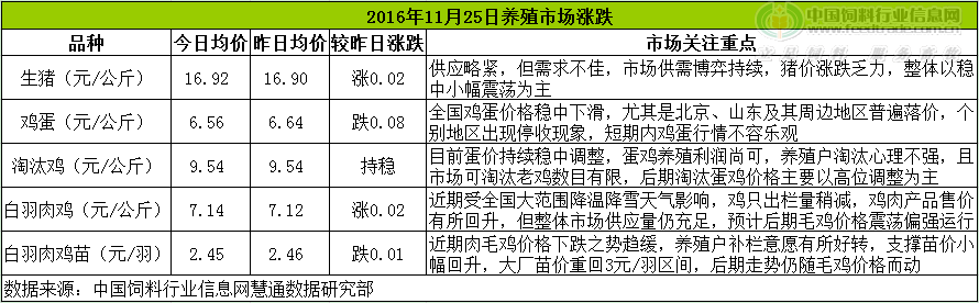 雞評.png