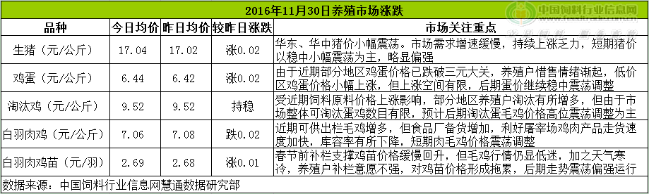 雞評(píng).png