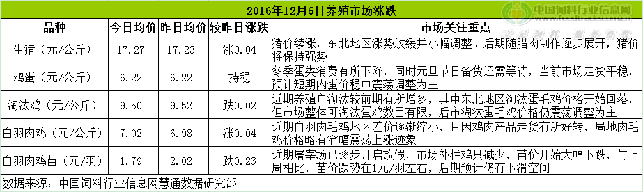 雞評.png