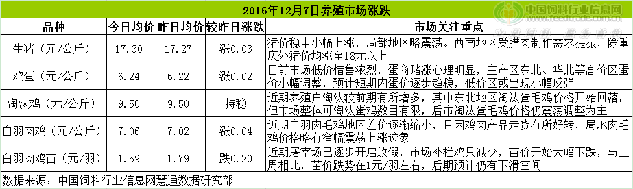 雞評.png