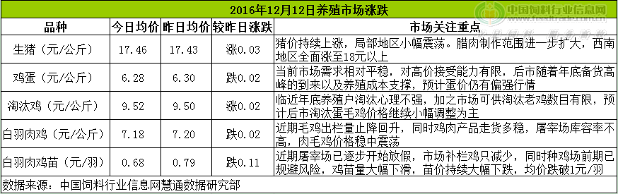 雞評(píng).png