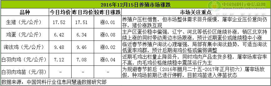 雞評.png