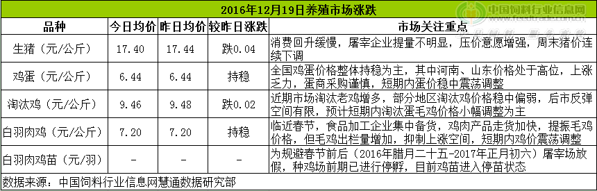 雞評(píng).png