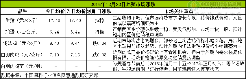 雞評.png