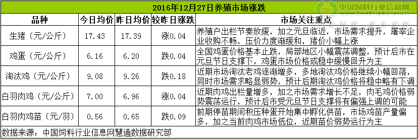 雞評.png