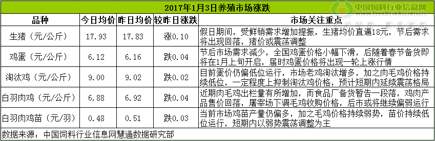 雞評.png