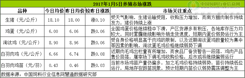 雞評.png