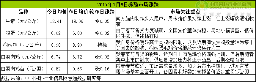 雞評(píng).png