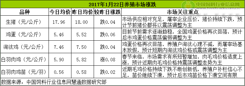 雞評.png