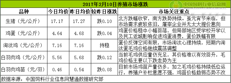 雞評.png