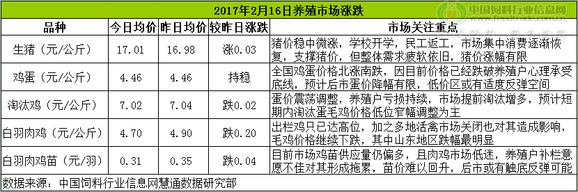 雞評(píng).png
