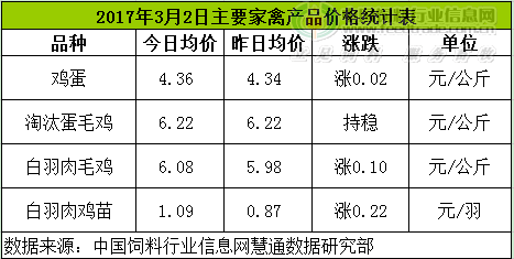 雞評(píng).png