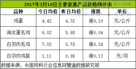 雞評(píng).png