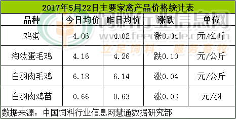 雞評(píng).png