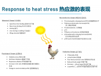 肉雞出現(xiàn)應(yīng)激的原因及應(yīng)對(duì)方法