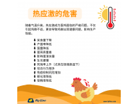 熱應(yīng)激的危害